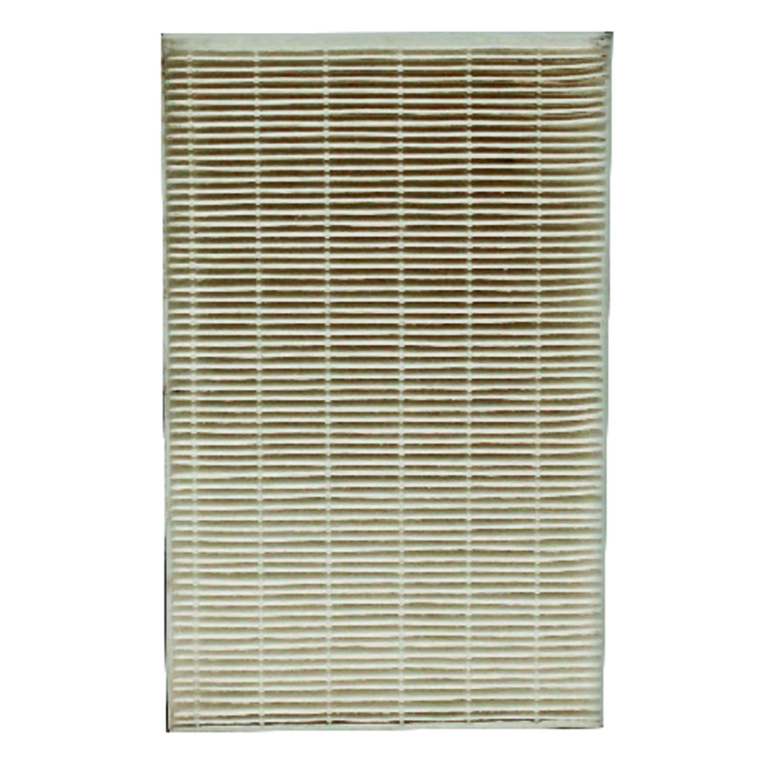 Replacement Air Filter, True HEPA