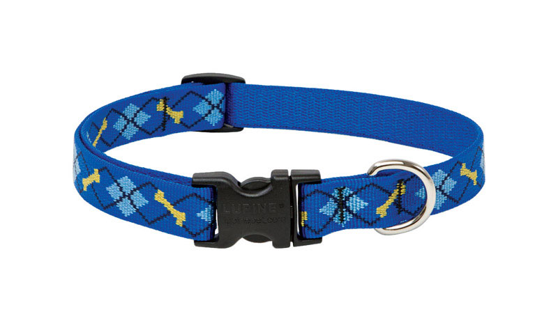 Pet Original Designs Multicolor Dapper Dog Adjustable Nylon Collar 13-22 In.