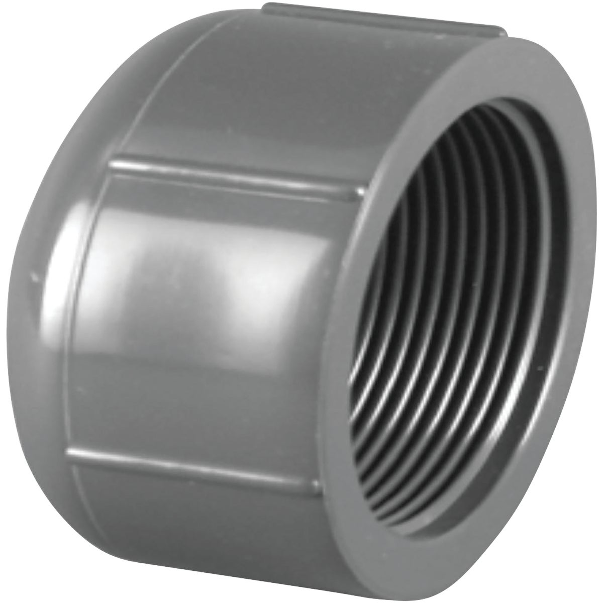 Schedule 80 PVC FPT Cap, 1/2 In.