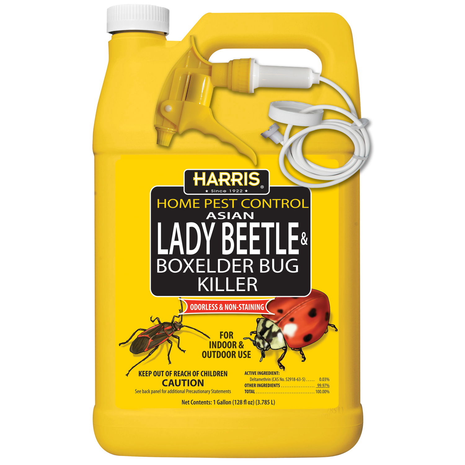 Home Pest Control Insect Killer Liquid 1 Gallon – Effective Against Asian Lady Beetles & More