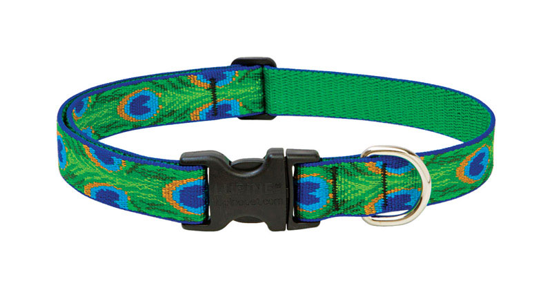 Original Designs Multicolor Tail Feathers Nylon Dog Adjustable Collar 12-20 In.