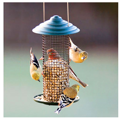 Black Oil Sunflower Magnum Feeder, 0.75-lb. Capacity, Durable Steel Design
