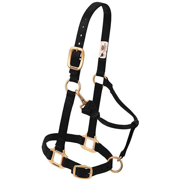 Adjustable Chin & Throat Snap Halter, 1 In., Black, Small/weanling