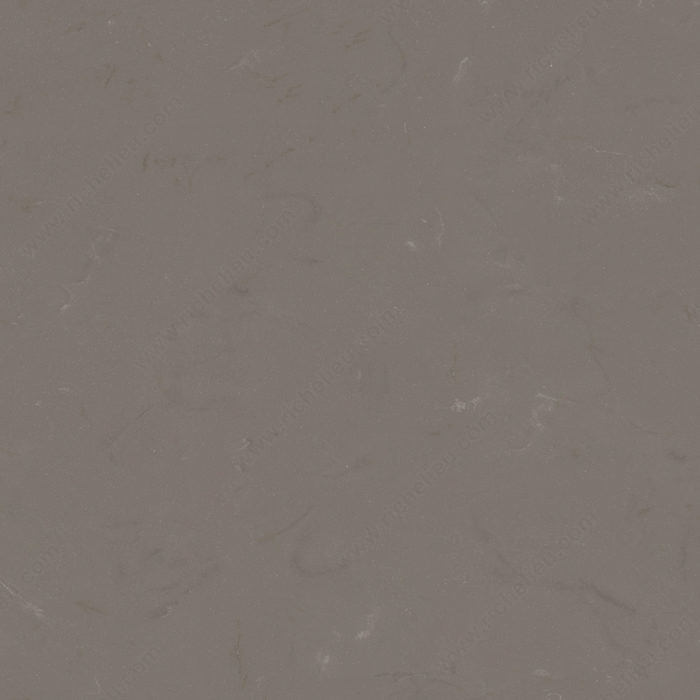 Richelieu MSSM022SMP55 Meganite Taupe Concrete Sample – M022